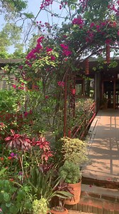 20K views · 105 reactions | Good morning from Shuktara Nature Retreat ! | Shuktara Nature Retreat | Facebook