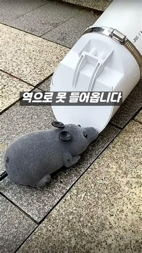 배수관 역류방지 트랩으로 하수구 여류 해충방지 해보세요~#쿠팡템 #생활꿀템 #하수구냄새차단#배수구커버#벌레차단