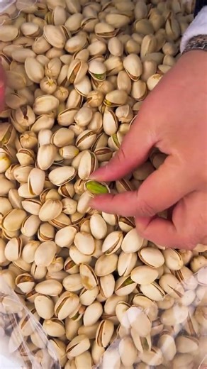 Premium Hazelnuts & Pine Nuts Collection #shorts #pistachios