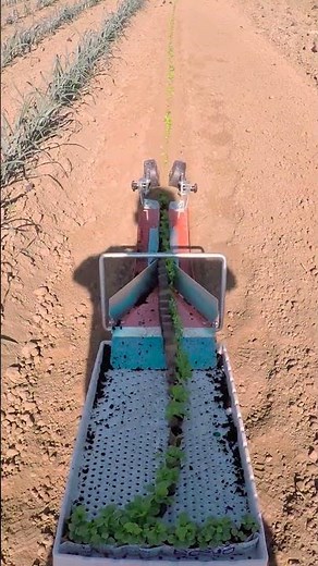 Paperpot PL4 transplanter
