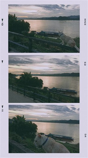 ยามเย็นริมโขง🌄🧡🏚️🌿🐦📸#คาเฟ่เชียงคาน #ที่พักเชียงคานราคาถูก #เทรนด์วันนี้ #ที่พักเชียงคานติดริมโขง #ชานเคียงที่เชียงคาน