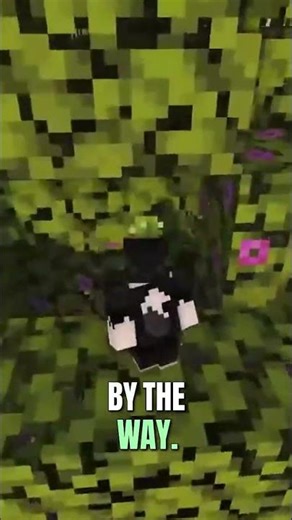 Everyone Loves A Good Parkour Tree! #minecraft #minecraftjava #minecraftsmp