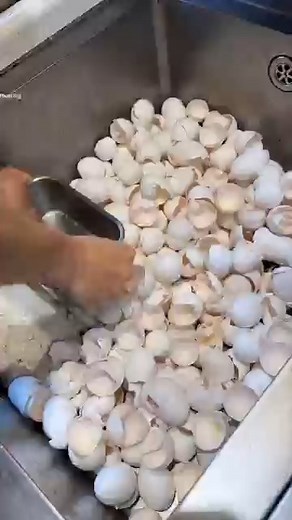 2.6K views · 12 reactions | Amazing Science Experiments #shortsvideo | D T P | Facebook