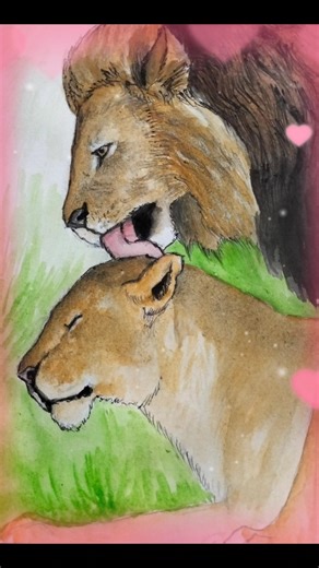 simple poster colour drawing of beautiful ❤️ lion couple