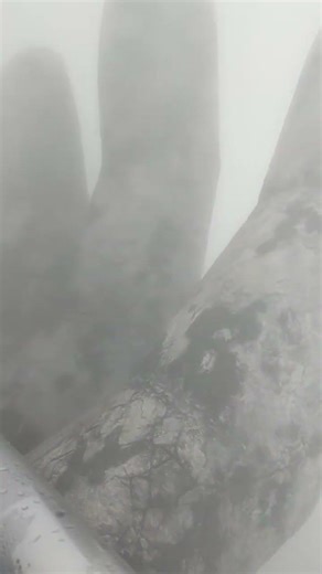 บานานาฮิวส์ #xcavator #automobile #สวยขยี้ใจ #travel #嗡嗡嗡 #labrador #쩐다 #streetdog #휙봐 #vlog