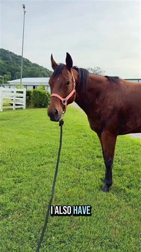 754K views · 42K reactions | Princess Rikki | Katie Van Slyke | Facebook