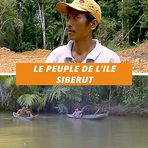 15K views · 285 reactions | Le peuple de l'ile Siberut, en Nouvelle Calédonie | 100% DOCS | Facebook