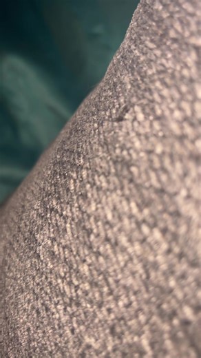 Braybug (@jenablevins992)’s videos with original sound - Braybug