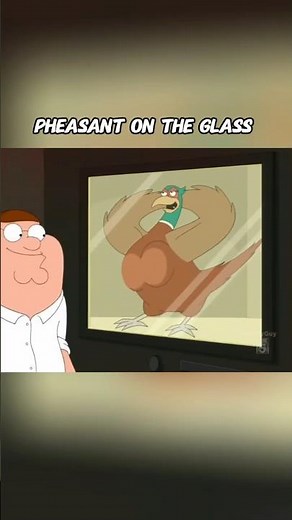 Pheasant on the glass 💀#familyguy
