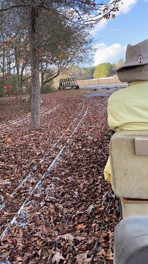 42 reactions | The railroad is looking absolutely beautiful right now...