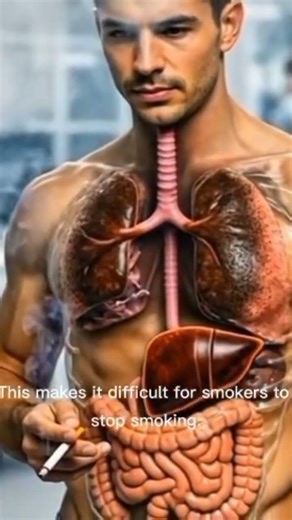 #humanantomy #humanbody