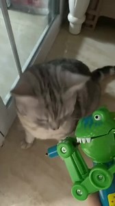 434K views · 11K reactions | Hello pipol !  | Pretty things | Facebook