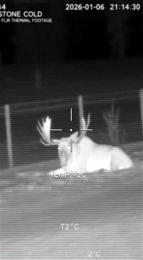 Look at the temperature reading