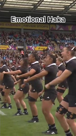 New Zealand Vs Japan 🇯🇵 Haka Rugby World Cup Who Win🥇?