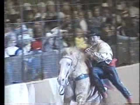 Tad Griffith Trick and Roman Riding Demo.mov