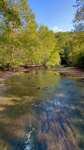 13K views · 209 reactions | Clear Creek along the Benua Trail in Hocking Hills. No waterfalls right now so this babbling creek was my zen for the day. | Ohio Hikes and Sights | Facebook