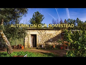 An abundant life in rural Portugal. Off grid living.