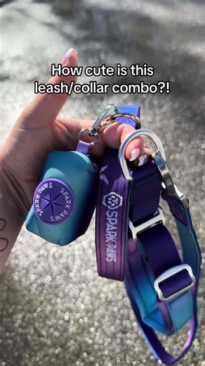So happy that Spark Paws has dog accessories now 🥰 #dogaccessories #martingale #dogcollar #dogleash #sparkpaws