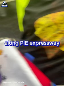 Car skidded and crashed on PIE | Singapore Road Accident