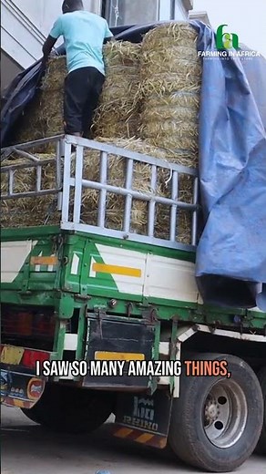 African Farming Innovation: From Dream to Reality