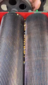 79K views · 346 reactions | Corn chopper #corncutter #feedingsheep #feedprocessing | New Tecnology | Facebook