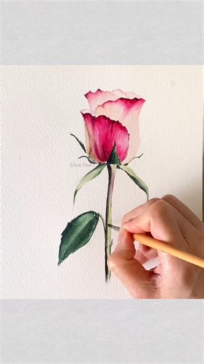 Realistic Watercolor Rose Painting 🌹 | blue.lisart.art