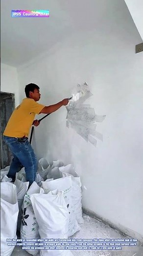 Wall Stripping: The Process of Removing Old Paint