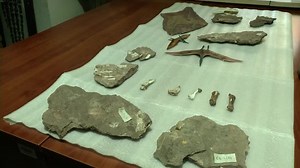 Scientists discover ancient cemetery of flying reptiles in Chile's Atacama desert