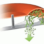 To Mulch or Not to Mulch - Mulching Advice and Tips