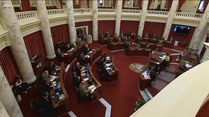 Idaho Senate passes 'harmful material' in libraries bill