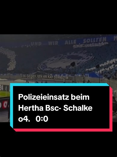 Polizeieinsatz beim Hertha BSC gegen Schalke 04