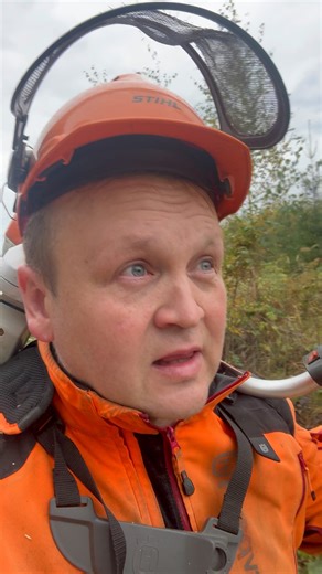 Big news coming up. Really big. | Steve'n'Seagulls