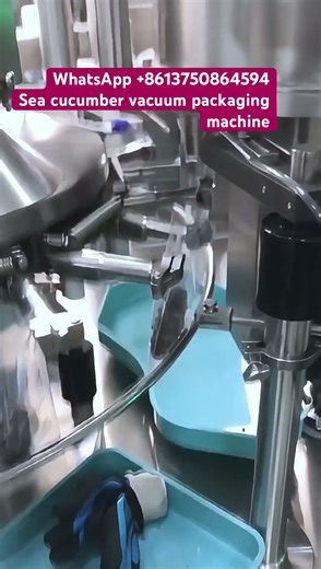 Single sea cucumber vacuum packaging machine sea food vacuum machines
