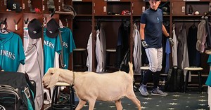 Behind the scenes of Mariners’ messiest commercial
