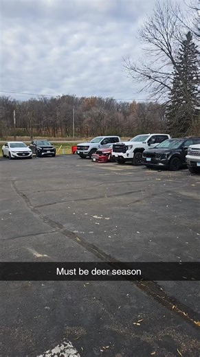 Don't be a deer caught in the headlights! Make sure you have rental car coverage, if you dont we do have free courtesy cars! 763-682-3135 | Buffalo Collision Repair