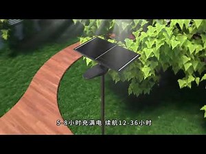 Solar Street Light Installation – Road Lighting Project Explained