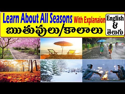 Learn All Seasons Names in English And Telugu | Seasons in Telugu | Seasons In English