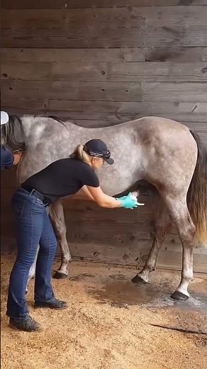 Shocking!!!!! What are they doing? Horse & Girl #shorts