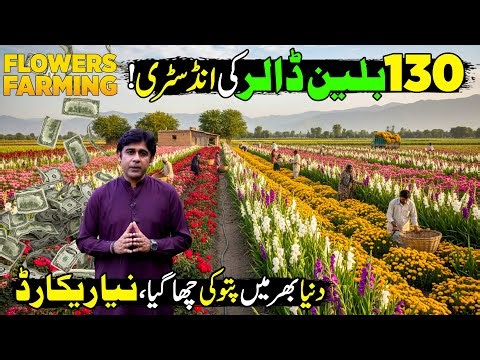 Explore Asia's Largest Flower and Nursery Market in Pakistan | Patoki City | Kissan Ka Pakistan