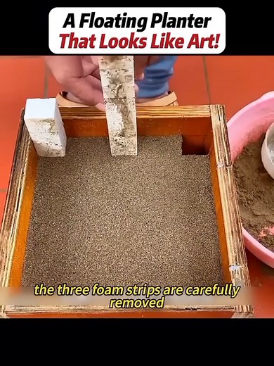 DIY Floating Planter: Creative Home Decor Idea