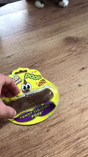 😂 she thought it was the cat #foryoupage #prank