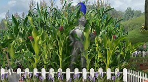 Little Einsteins Rocket Soup