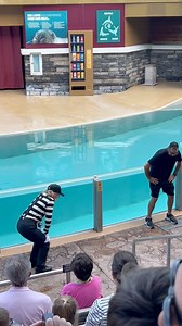 2K views · 15 reactions | Dance tutorial by the mime #fun | FunnyWild Advntures | Facebook