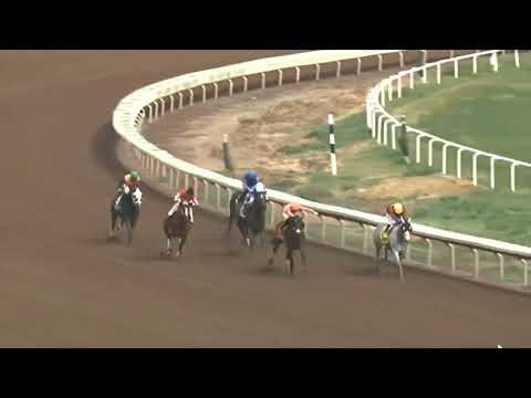 R3 Turf Paradise 18 Feb 2026