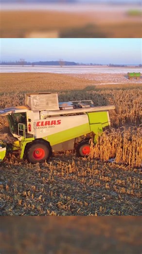 Żniwa Kukurydzy W Śniegu! MHR Henryków W Kobierzycach