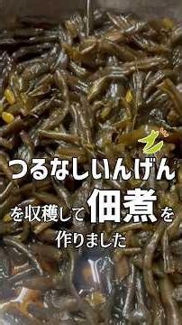 つるなしいんげんを収穫して佃煮を作ったばあちゃん #shorts