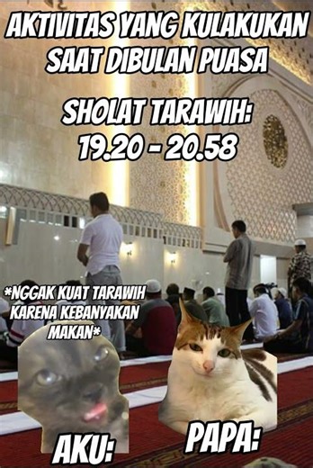 Ini nih bulan yang ditungguin banyak orang😄#meme #memekucing #kucing #kucinglucu #pov