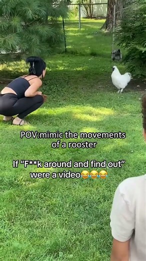 Interesting pet videos! #cat #dog #pets #music #meme #funny