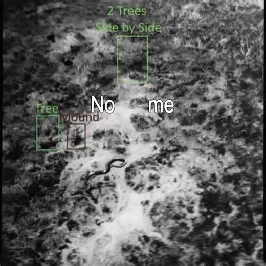 Incredible 1959 Congo Snake Encounter by Col. Van Lierde