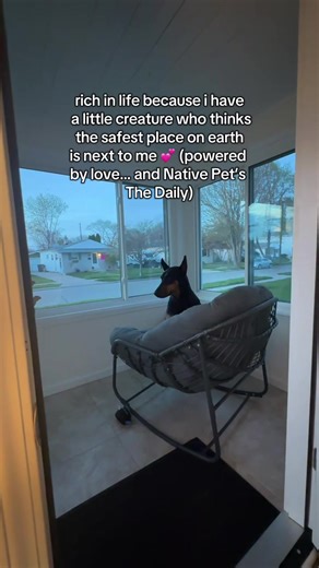 my built-in bestie #dogdad #love #usenativepet #nativepet